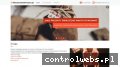 Screenshot strony niesamowityprezent.pl