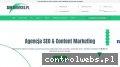 Screenshot strony seo-services.pl