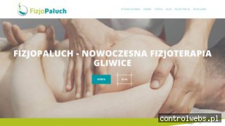 FizjoPaluch -nowoczesna fizjoterapia i rehabilitacja Gliwice