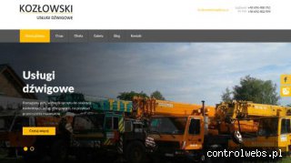 dzwigizielonagora.pl