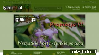 Iglaki - rośliny do ogrodu