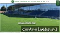 Screenshot strony www.greenturf.pl