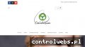 Screenshot strony www.caldesia.pl
