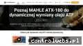 Screenshot strony atf-dynamicznie.pl