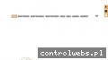 Screenshot strony www.rooftopsassy.pl