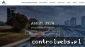 Screenshot strony www.angelus24.pl
