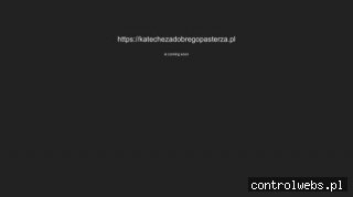 Blog o pozycjonowaniu - katechezadobregopasterza.pl