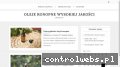 Screenshot strony jaktozagrac.pl
