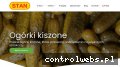 Screenshot strony stan.pl