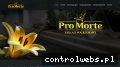 Screenshot strony promorte.pl