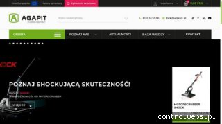 Zamiatarki - agapit.pl