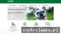 Screenshot strony wet.info.pl