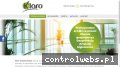 Screenshot strony klaro.net.pl