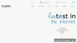 Profesjonalne strony internetowe - testin.pl