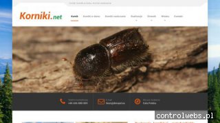 Korniki w domu - korniki.net