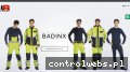 Screenshot strony www.badinx.com