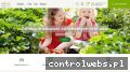 Screenshot strony kramik-franusia.pl