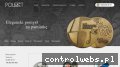 Screenshot strony medale-pinsy.pl