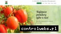 Screenshot strony www.warzywa-pietras.pl