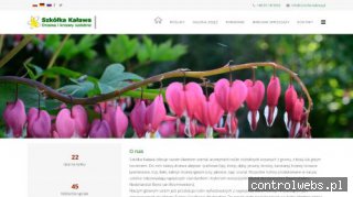 drzewa alejowe szkolka-kalawa.pl