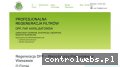 Screenshot strony www.dpf.net.pl