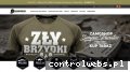 Screenshot strony camoshop.pl