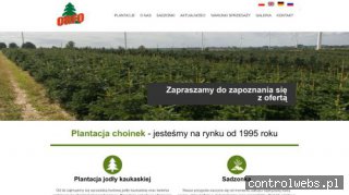 Choinki żywe - orfo.pl