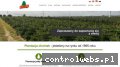Screenshot strony orfo.pl
