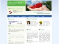 Screenshot strony www.dietasouthbeach.eu