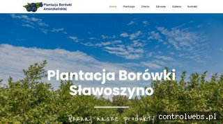 W odmianach wczesnych, średnich oraz późnych