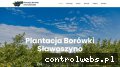 Screenshot strony plantacjaborowki.eu