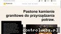 Screenshot strony pastone.pl