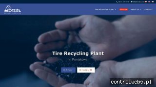 orzelsa.com