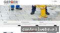 Screenshot strony gepter.pl