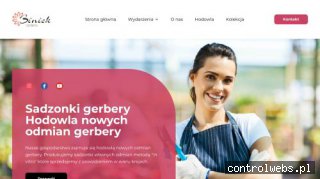 Gerbera jamesona- gerbera-plants.com