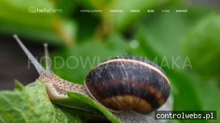 Hodowla ślimaka jadalnego Helixfarm
