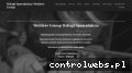 Screenshot strony welders-group.pl