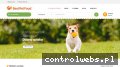 Screenshot strony bestpetfood.pl