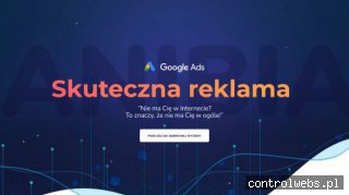 Kampanie Reklamowe w Internecie