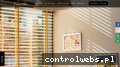 Screenshot strony laurales.pl