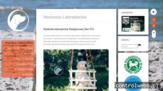Hodowla Labradorów Księżycowy Sen