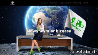 Tworzenie stron WWW - seomamut.pl