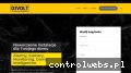 Screenshot strony www.divolt.pl