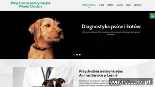 kastracja kota gdańsk kokoszki - animal-service.pl
