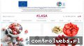 Screenshot strony frigoklasa.pl
