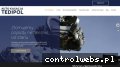 Screenshot strony www.auto-kasacja.com