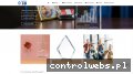 Screenshot strony statuetki3d.pl