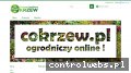 Screenshot strony cokrzew.pl