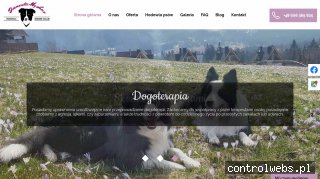 przygotowanie psów do wystaw września wagnerdogs.com