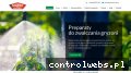 Screenshot strony www.promex-com.pl
